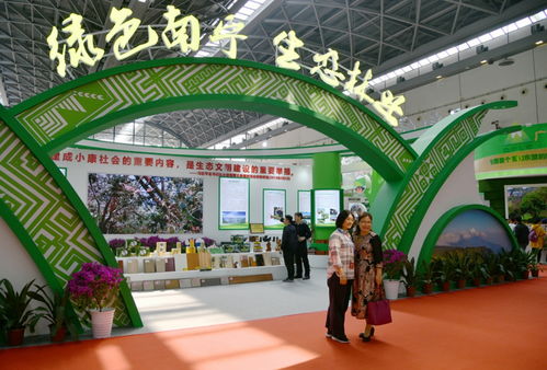 2019中国-东盟博览会林产品及木制品展 体验式拓展活动的策划与实践